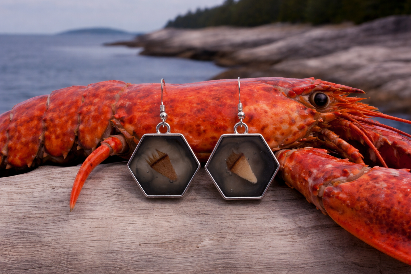 Lobster Notch Earrings