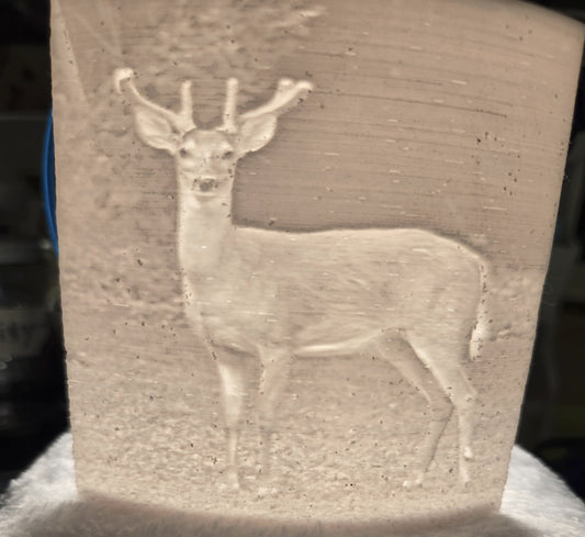 Lithophane Young Buck