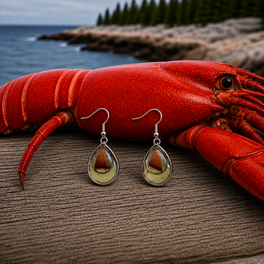 Lobster Notch Earrings