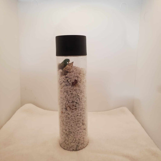 Search and Find Jar